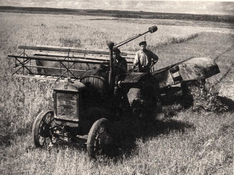 косовица зелёнки колхоз Память Парижской коммуны. 1957г с. Богородское