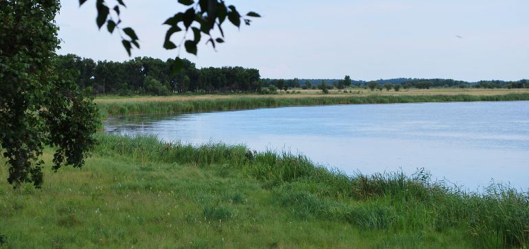 Село Большеозёрка